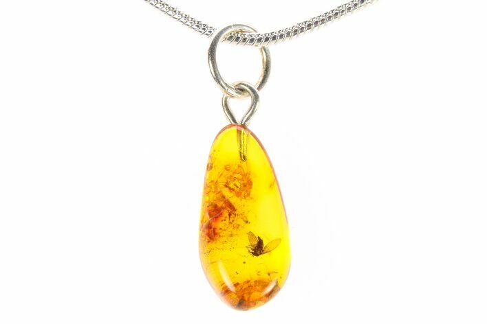 Polished Baltic Amber Pendant (Necklace) - Contains Fly! #288855